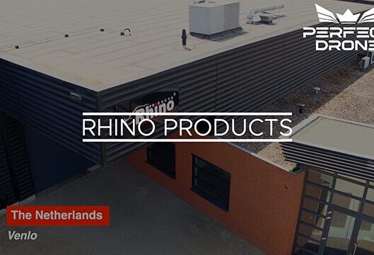 rhino